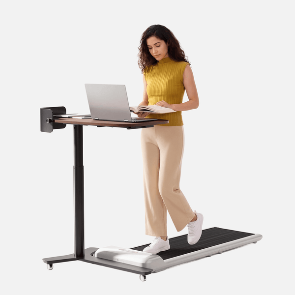 KingSmith ETD2 Adjustable Standing Desk
