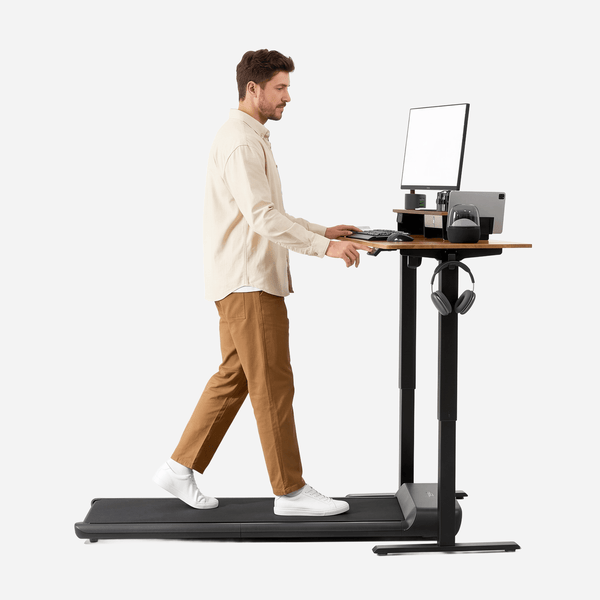 KingSmith ETSFI21 Adjustable Standing Desk